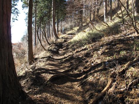 20181214hike (108)